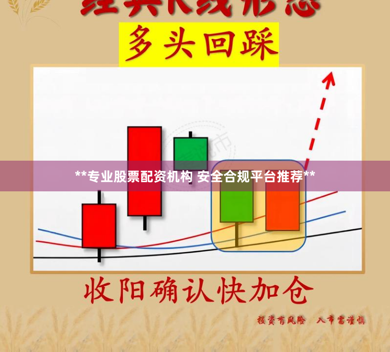 **专业股票配资机构 安全合规平台推荐**